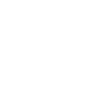 Detective-Badge-transparent_white-icon